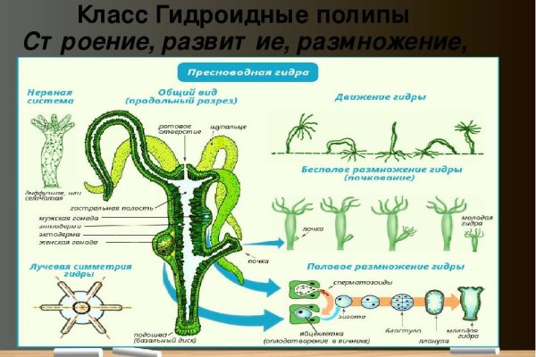 Кракен маркет kr2web in